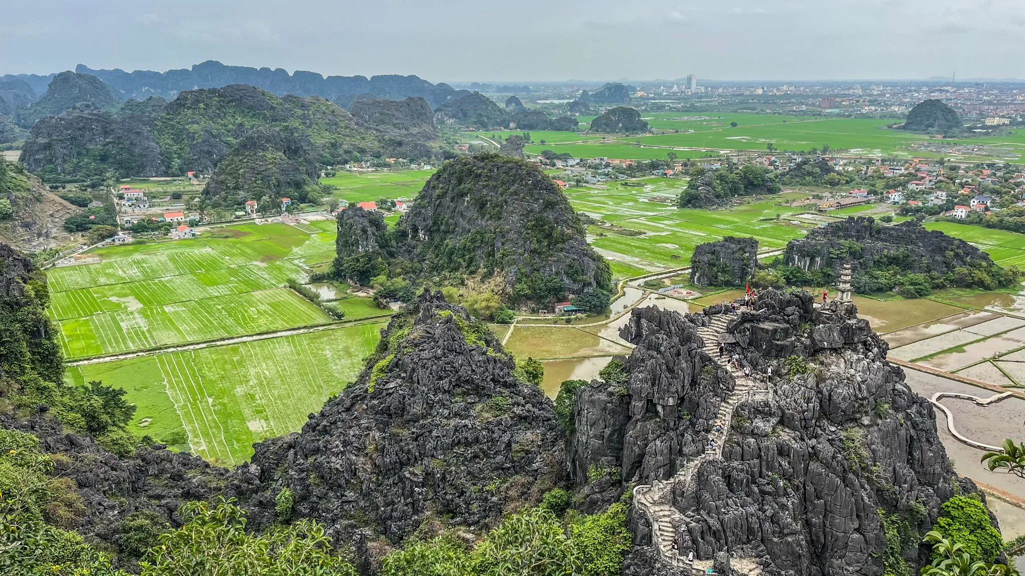 /storage/photos/2/Mekong tour/mua-cave-ninh-binh-in-march-23_1761563107_ZRSRGfPx.webp